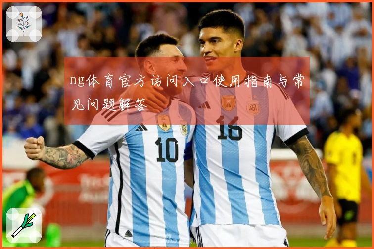 ng体育官方访问入口使用指南与常见问题解答
