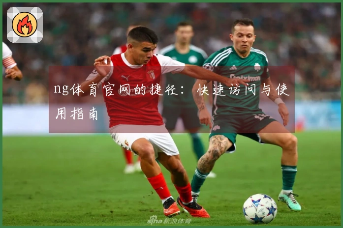 ng体育官网的捷径：快速访问与使用指南
