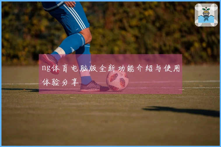 ng体育电脑版全新功能介绍与使用体验分享