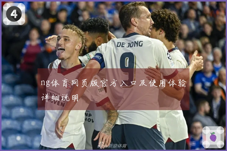 ng体育网页版官方入口及使用体验详细说明
